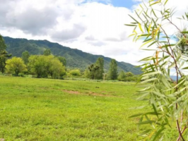 Terrenos Venta Jujuy Terreno en Ayres de Campo 300m2